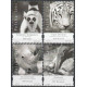 4026-4029 MNH**
