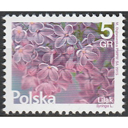 4625 MNH**