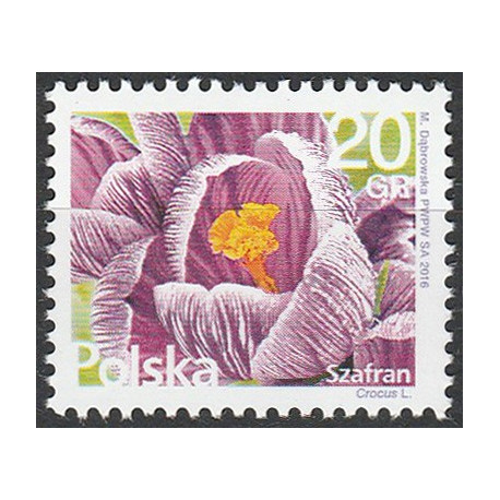 4666 MNH**