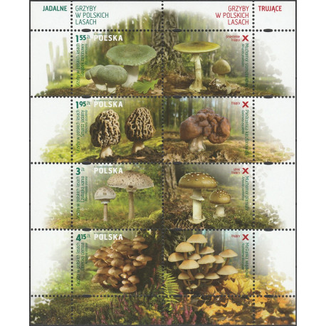 4429-4432 ms 242 MNH**