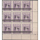 120a II block of 9 with errors MNH**
