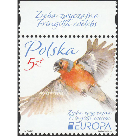 4954 issue name MNH**