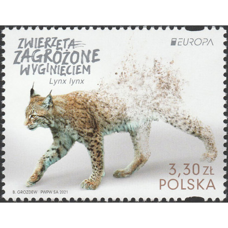 Poland 2021 - Fi 5141 MNH**